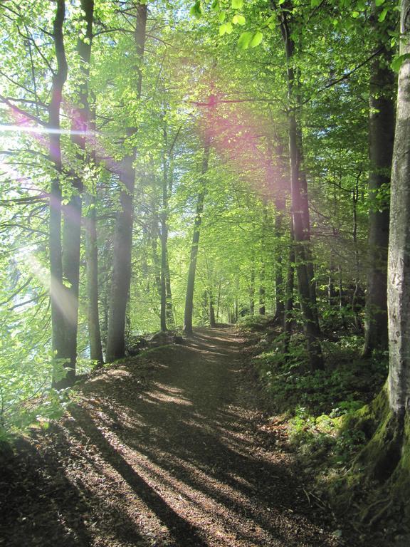 Bauernhof Unterhoefner Hof bei Salzburg Buitenkant foto