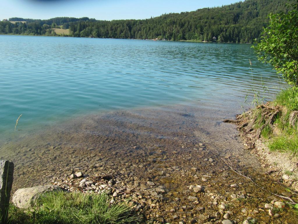 Bauernhof Unterhoefner Hof bei Salzburg Buitenkant foto